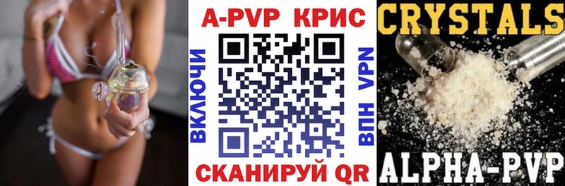 Альфа ПВП СК  Сясьстрой 