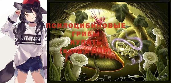 ПСИЛОЦИБИНОВЫЕ ГРИБЫ Баксан