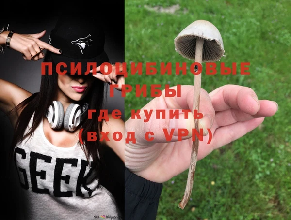 ПСИЛОЦИБИНОВЫЕ ГРИБЫ Баксан