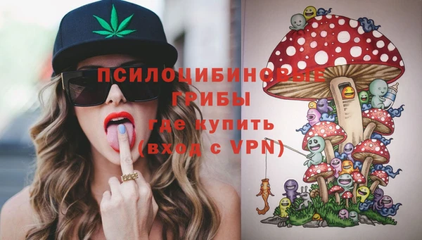 ПСИЛОЦИБИНОВЫЕ ГРИБЫ Баксан